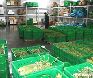 塑料周轉(zhuǎn)筐能用多少年？